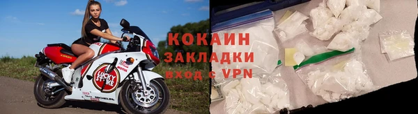 индика Верхний Тагил