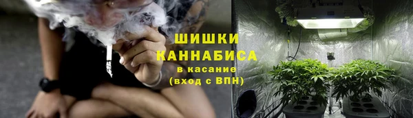 индика Верхний Тагил