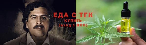 индика Верхний Тагил