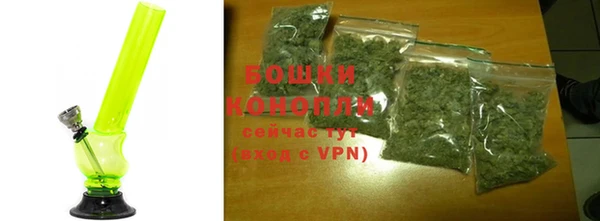 индика Верхний Тагил