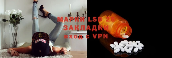 индика Верхний Тагил