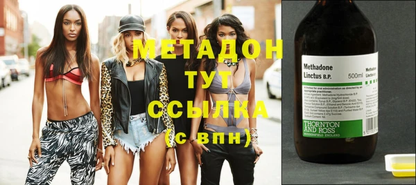 индика Верхний Тагил