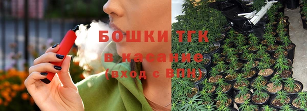 индика Верхний Тагил
